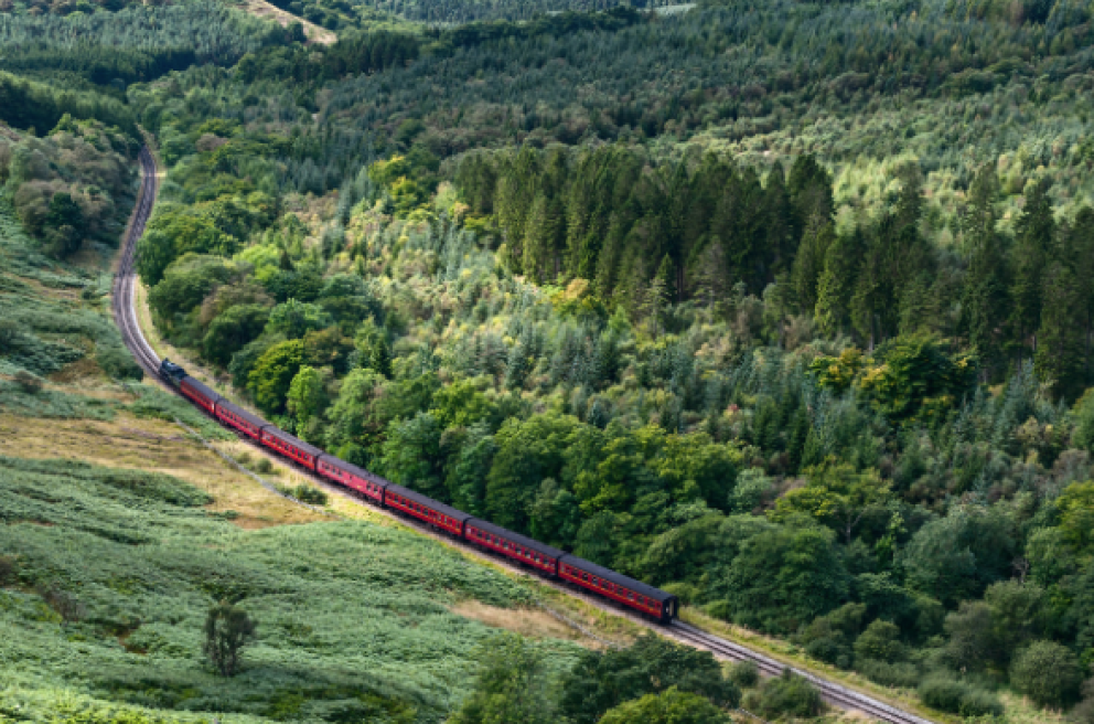 A train going through a green valley