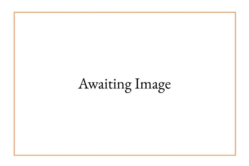 Awaiting image