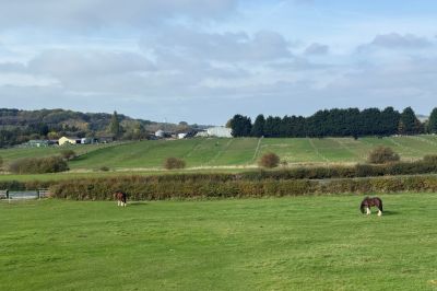 Window View Nottinghamshire