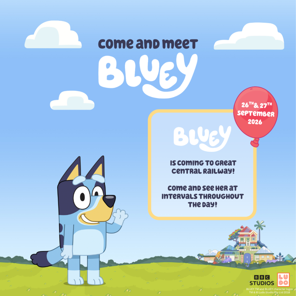 Bluey Leicestershire