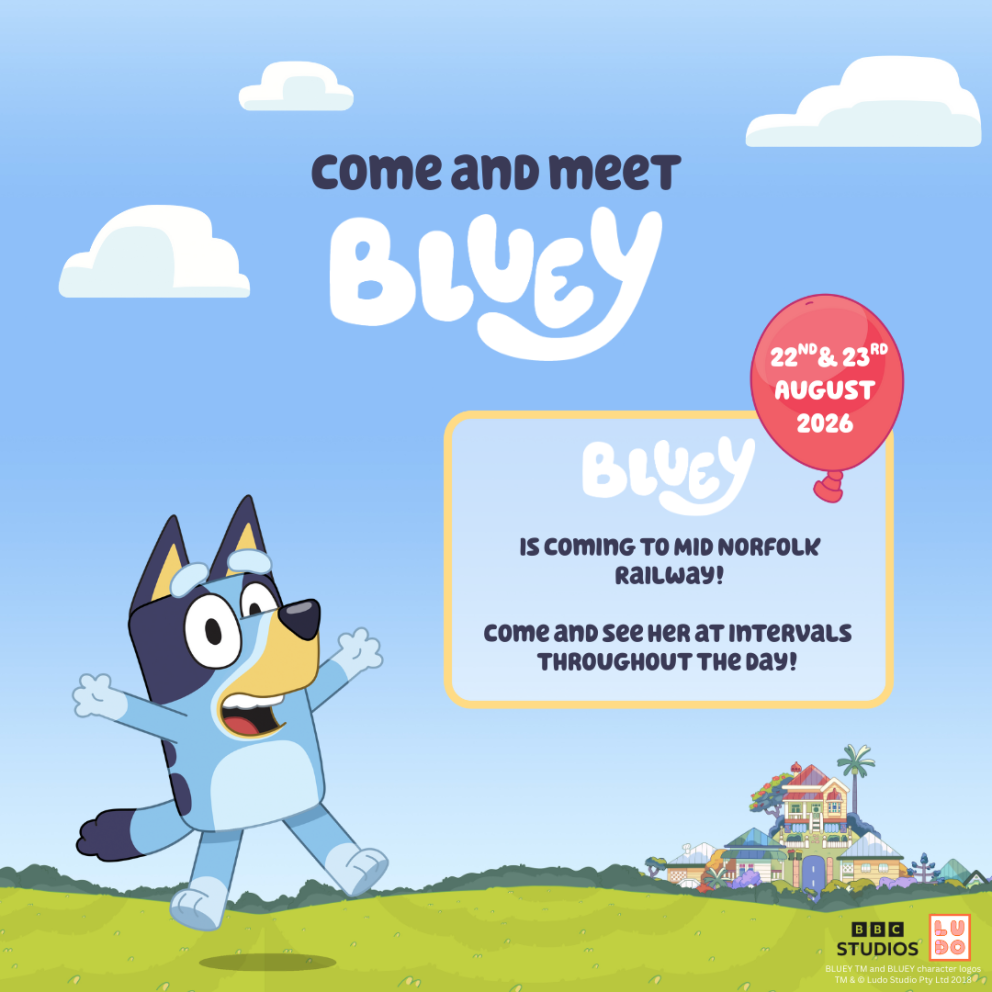 Bluey Norfolk