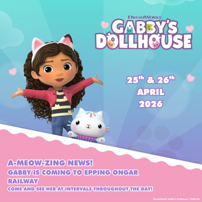 Gabby's Dollhouse Essex