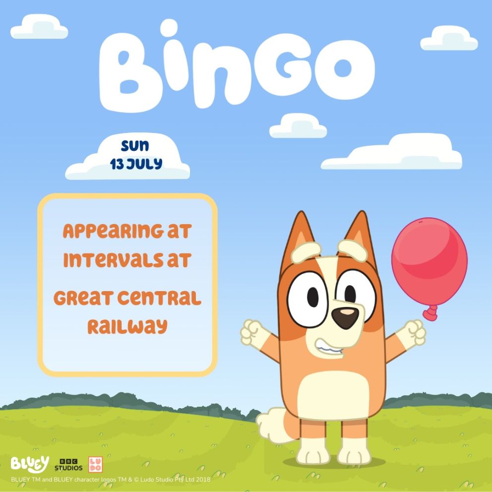 Bingo Visits Leicestershire