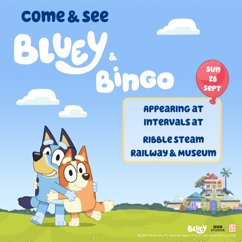 Bluey and Bingo Lancashire