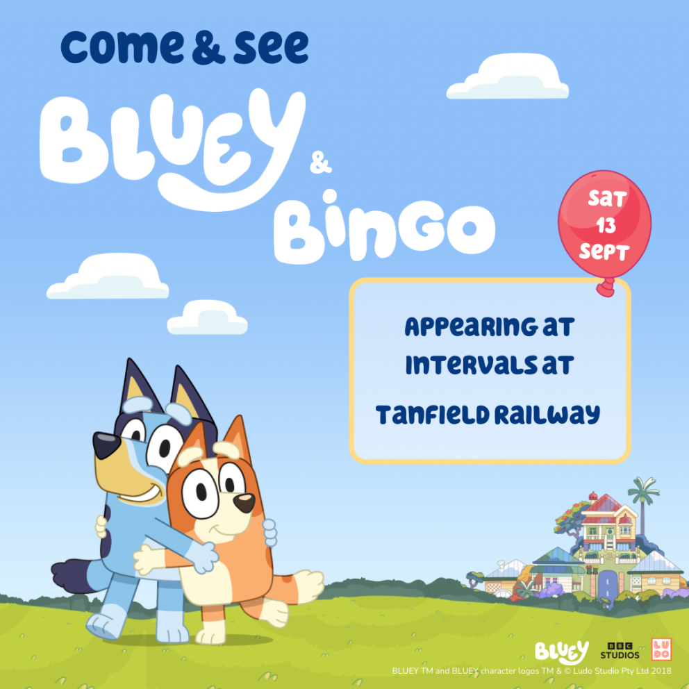 Bluey and Bingo Tyne & Wear