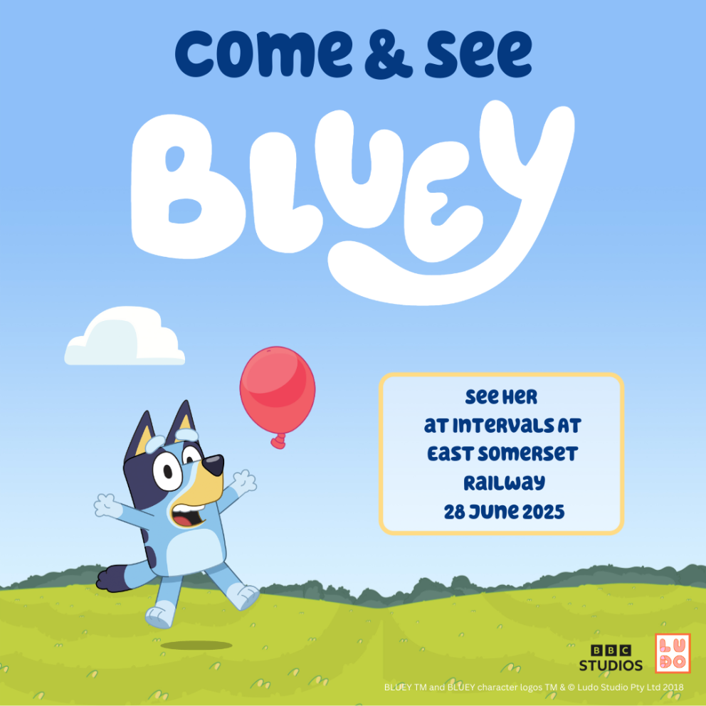 Bluey Somerset