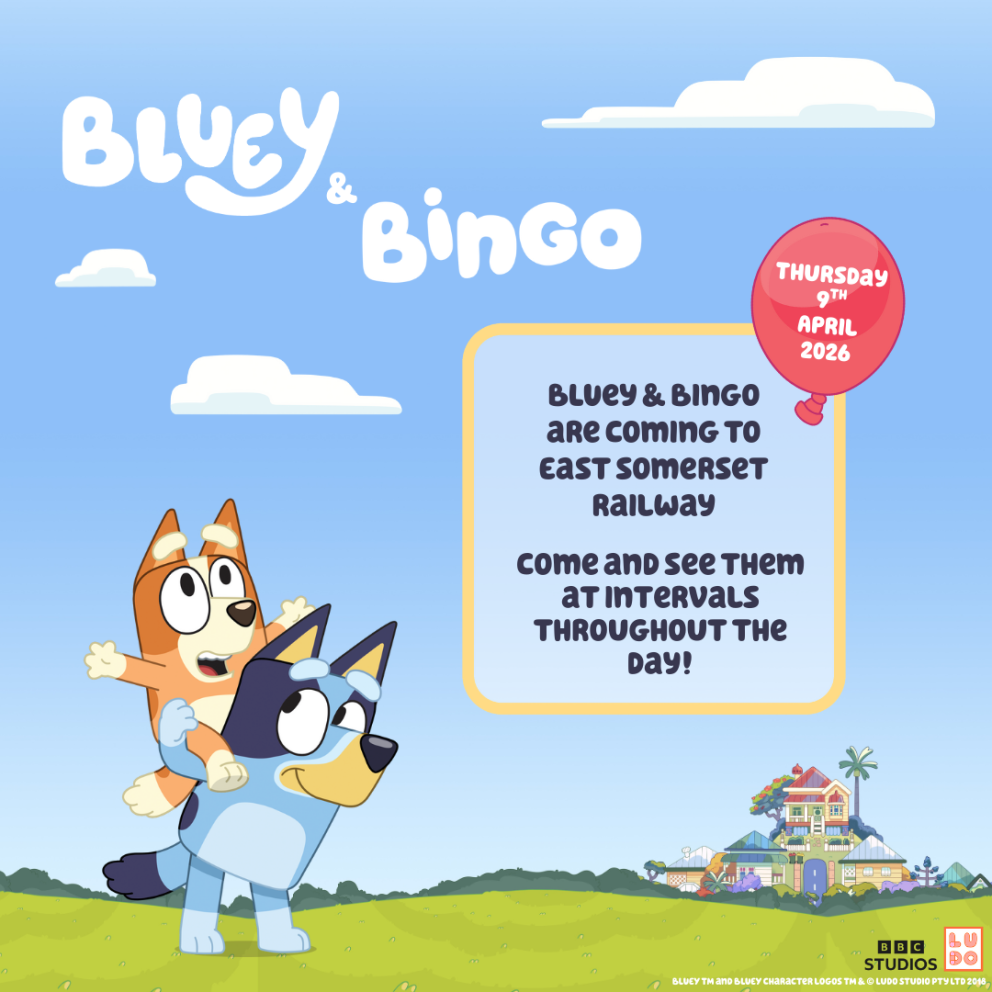 Bluey Bingo Somerset