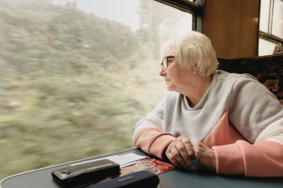 Steam Train Passenger