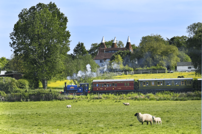 Hastings locomotive steaming through Kent scenery