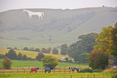 Westbury Horse